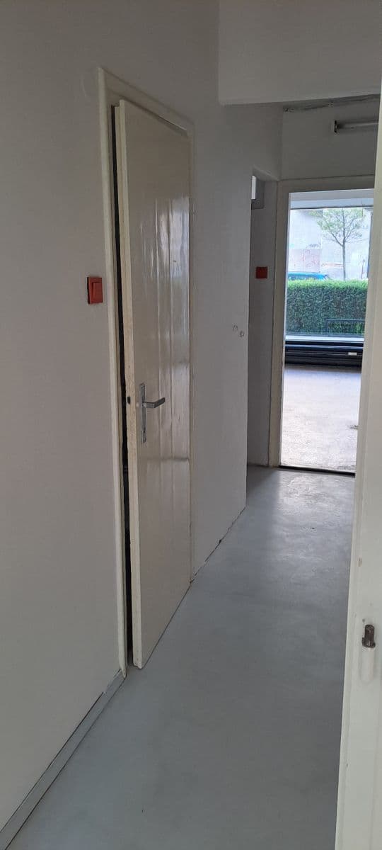 Pronájem nebytového prostoru 45 m², Tučkova, Brno, Jihomoravský kraj Pronájem nebytového prostoru 45 m², Tučkova, Brno, Jihomoravský kraj