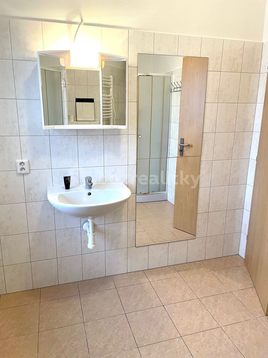 Pronájem bytu 2+kk 48 m², Hlinská, České Budějovice, Jihočeský kraj Pronájem bytu 2+kk 48 m², Hlinská, České Budějovice, Jihočeský kraj