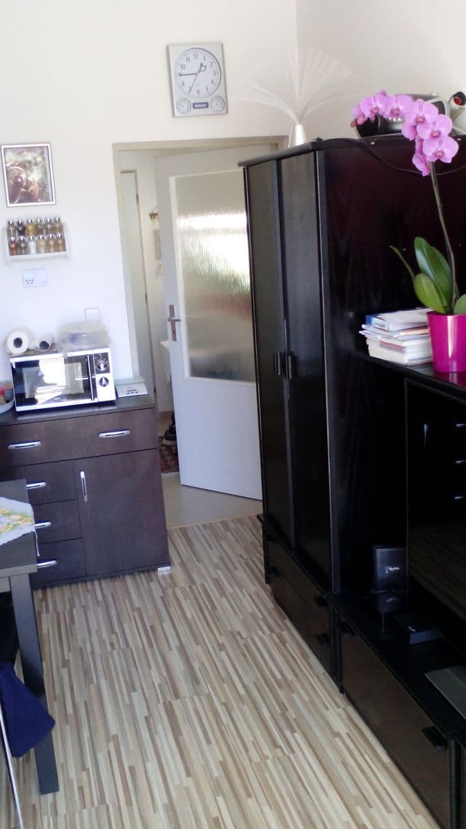 Pronájem bytu 1+1 35 m², Šámalova, Brno, Jihomoravský kraj Pronájem bytu 1+1 35 m², Šámalova, Brno, Jihomoravský kraj