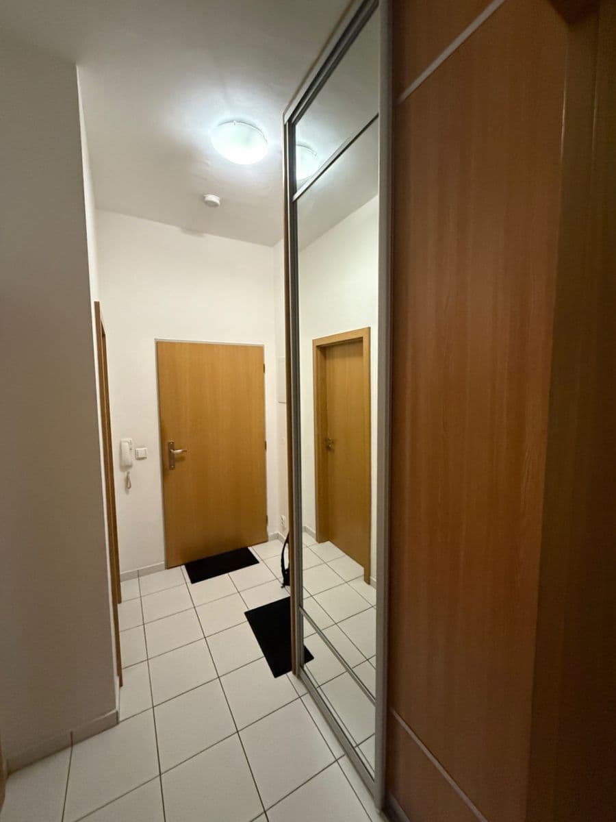 Pronájem bytu 1+kk 38 m², Černopolní, Brno, Jihomoravský kraj Pronájem bytu 1+kk 38 m², Černopolní, Brno, Jihomoravský kraj