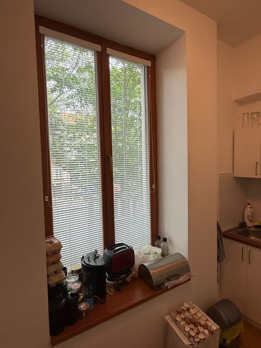 Pronájem bytu 1+kk 38 m², Černopolní, Brno, Jihomoravský kraj Pronájem bytu 1+kk 38 m², Černopolní, Brno, Jihomoravský kraj