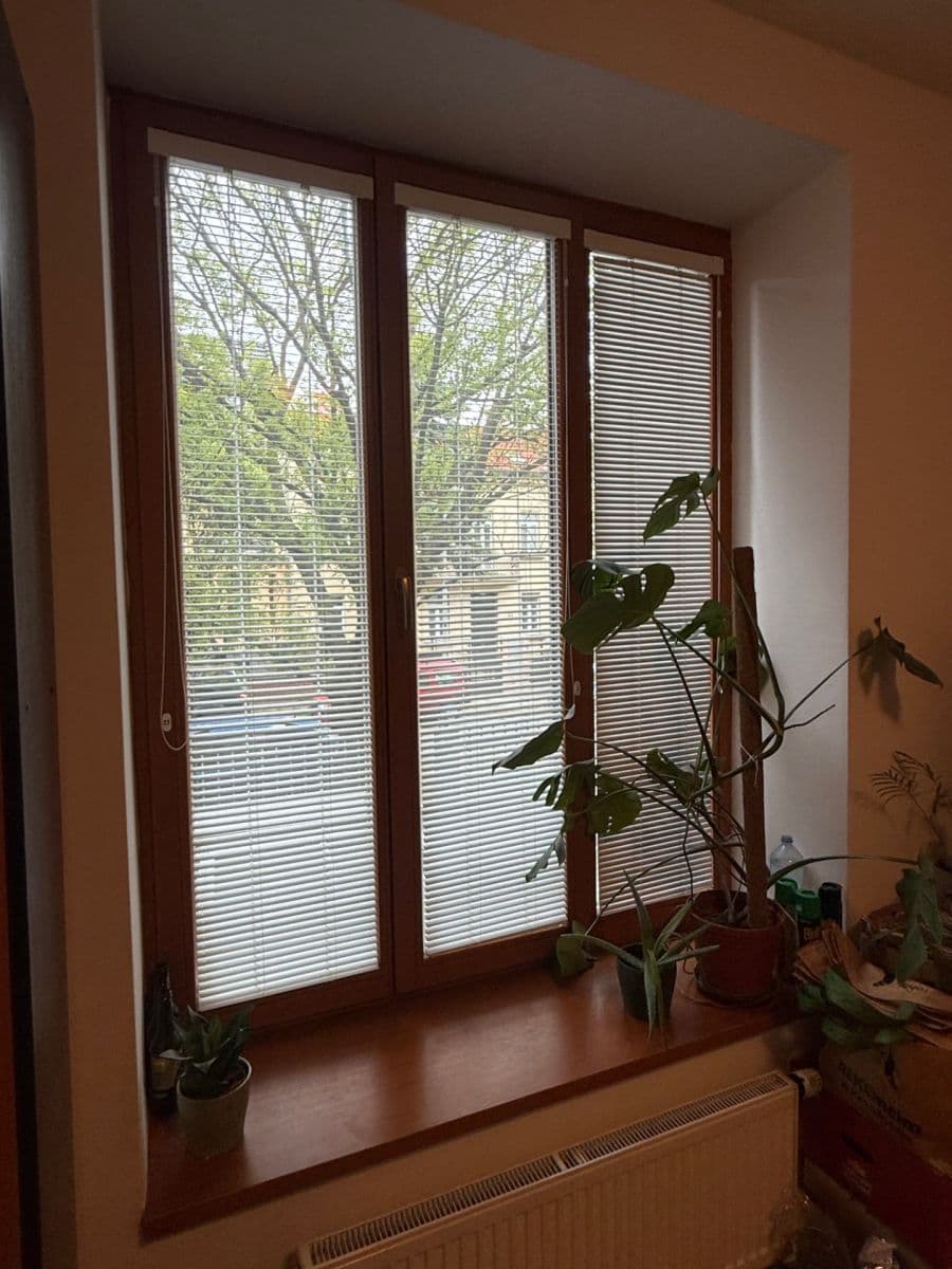 Pronájem bytu 1+kk 38 m², Černopolní, Brno, Jihomoravský kraj Pronájem bytu 1+kk 38 m², Černopolní, Brno, Jihomoravský kraj