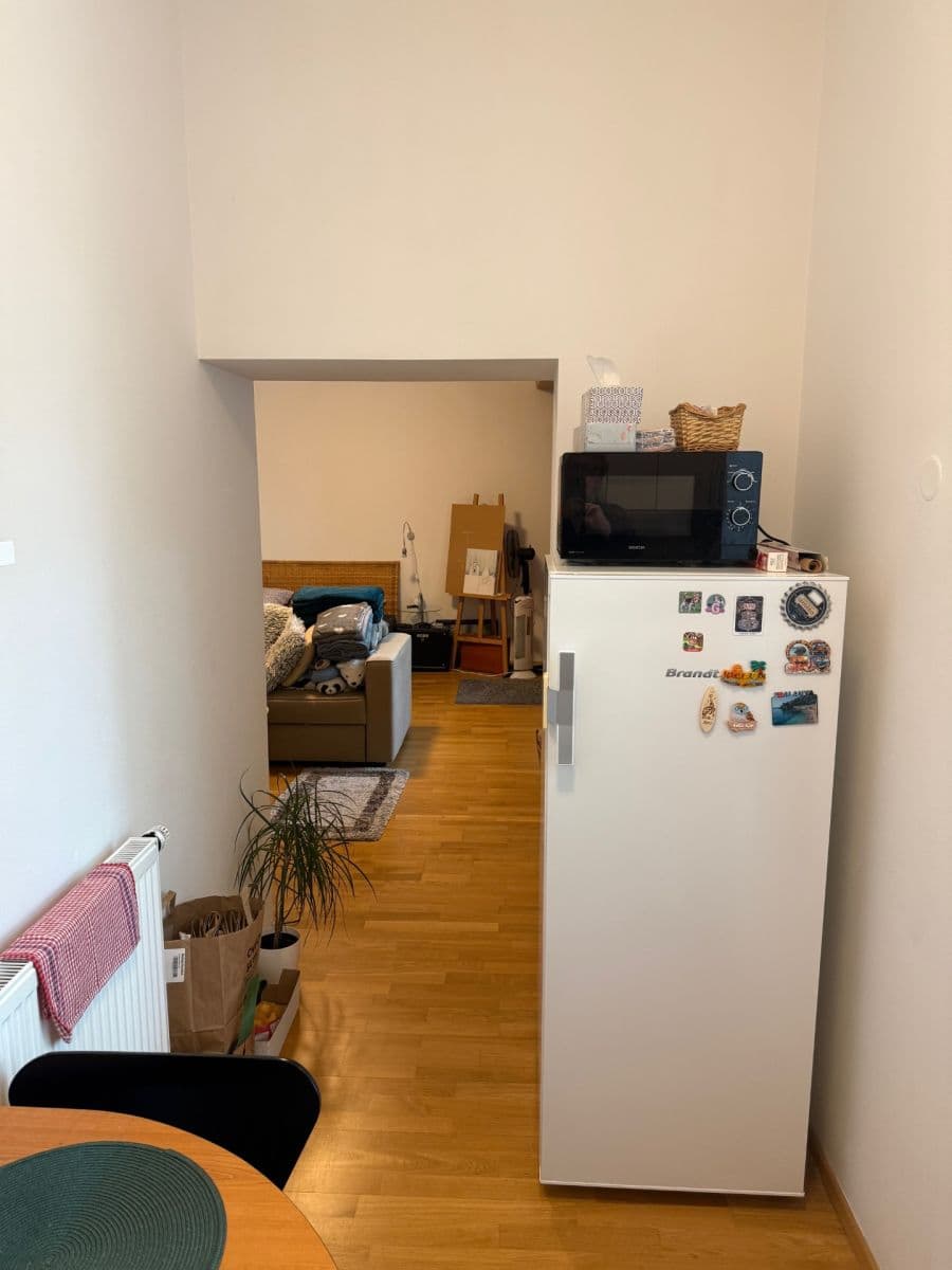 Pronájem bytu 1+kk 38 m², Černopolní, Brno, Jihomoravský kraj Pronájem bytu 1+kk 38 m², Černopolní, Brno, Jihomoravský kraj