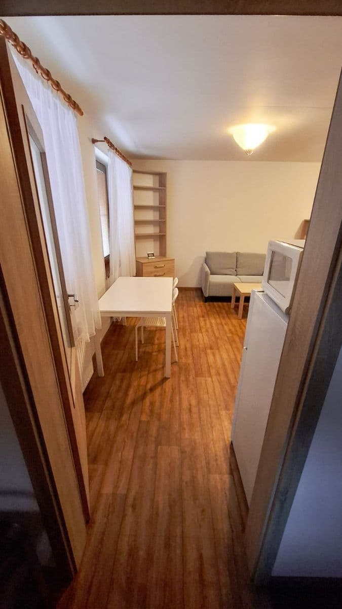 Pronájem bytu 1+kk 42 m², Jednostranná, Praha, Praha Pronájem bytu 1+kk 42 m², Jednostranná, Praha, Praha