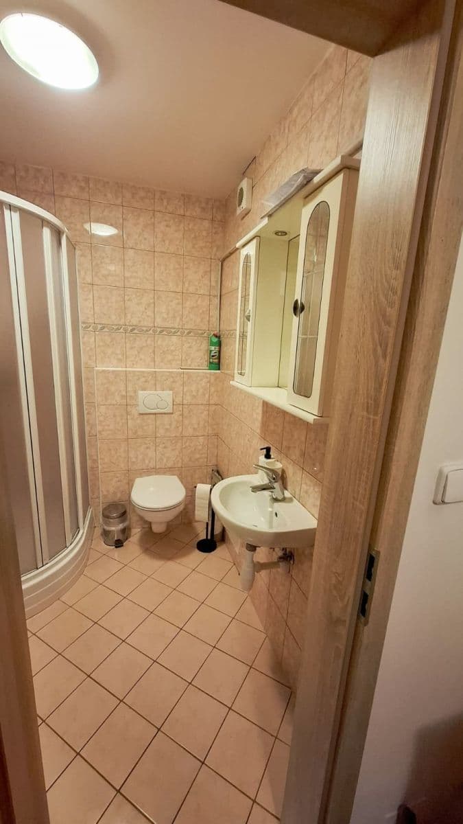 Pronájem bytu 1+kk 42 m², Jednostranná, Praha, Praha Pronájem bytu 1+kk 42 m², Jednostranná, Praha, Praha