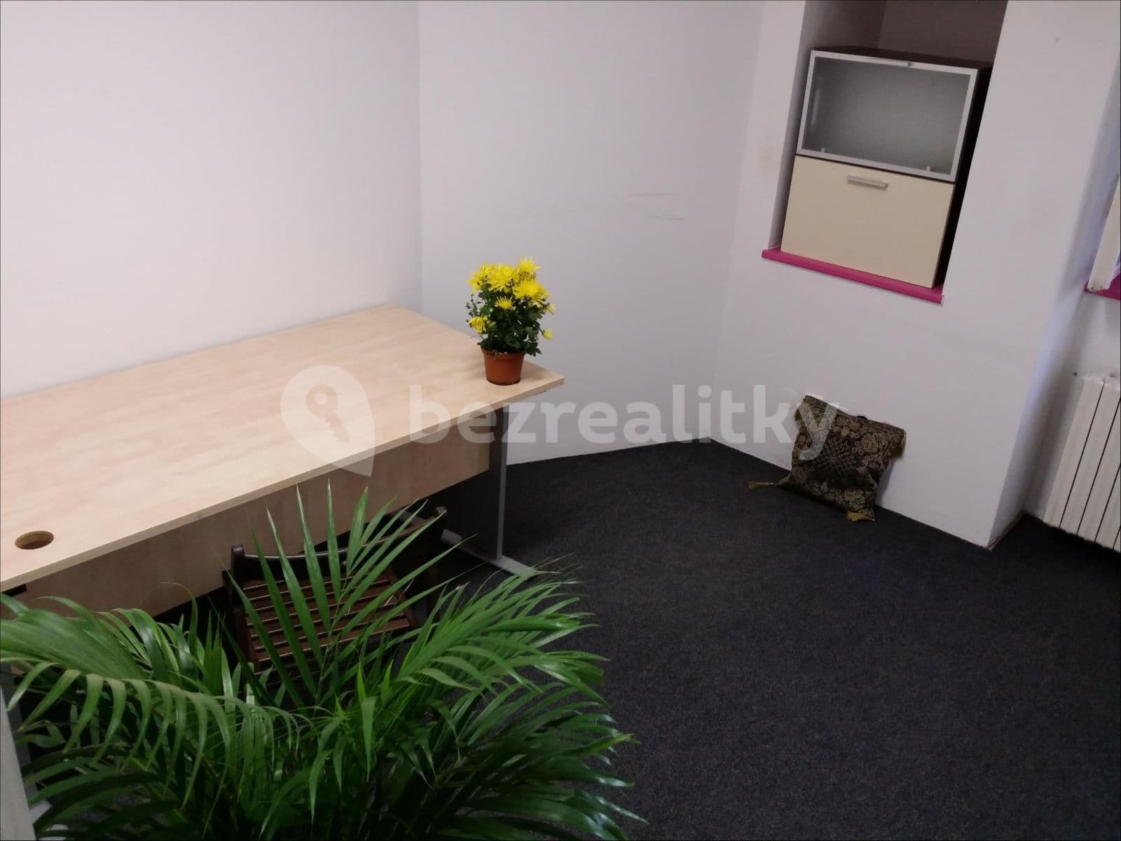 Pronájem nebytového prostoru 180 m², Žitomírská, Praha, Praha Pronájem nebytového prostoru 180 m², Žitomírská, Praha, Praha