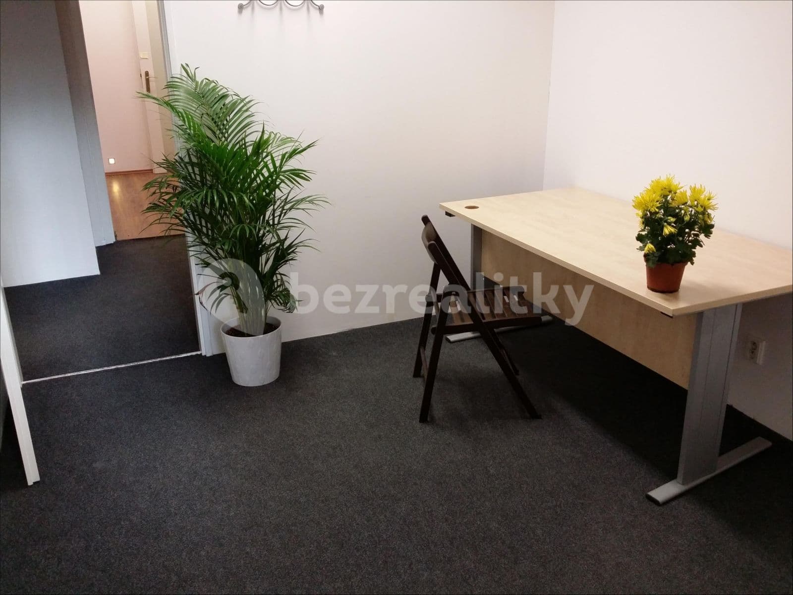 Pronájem nebytového prostoru 180 m², Žitomírská, Praha, Praha Pronájem nebytového prostoru 180 m², Žitomírská, Praha, Praha