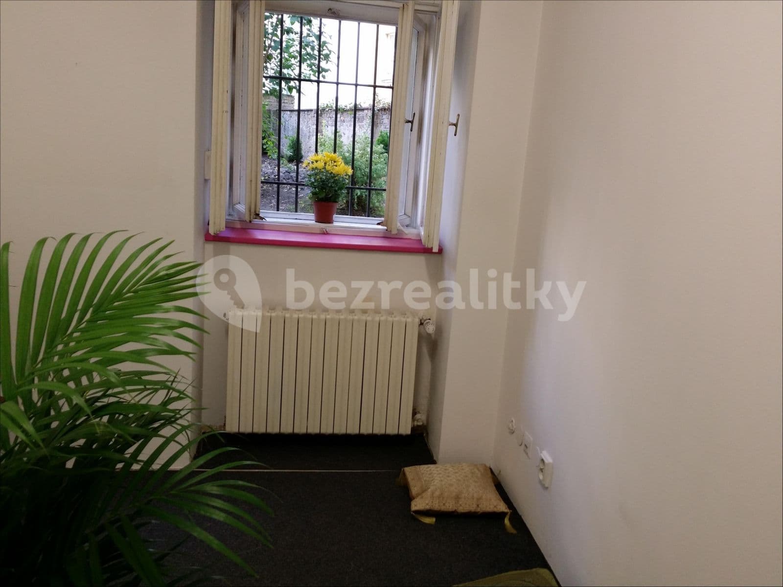 Pronájem nebytového prostoru 180 m², Žitomírská, Praha, Praha Pronájem nebytového prostoru 180 m², Žitomírská, Praha, Praha