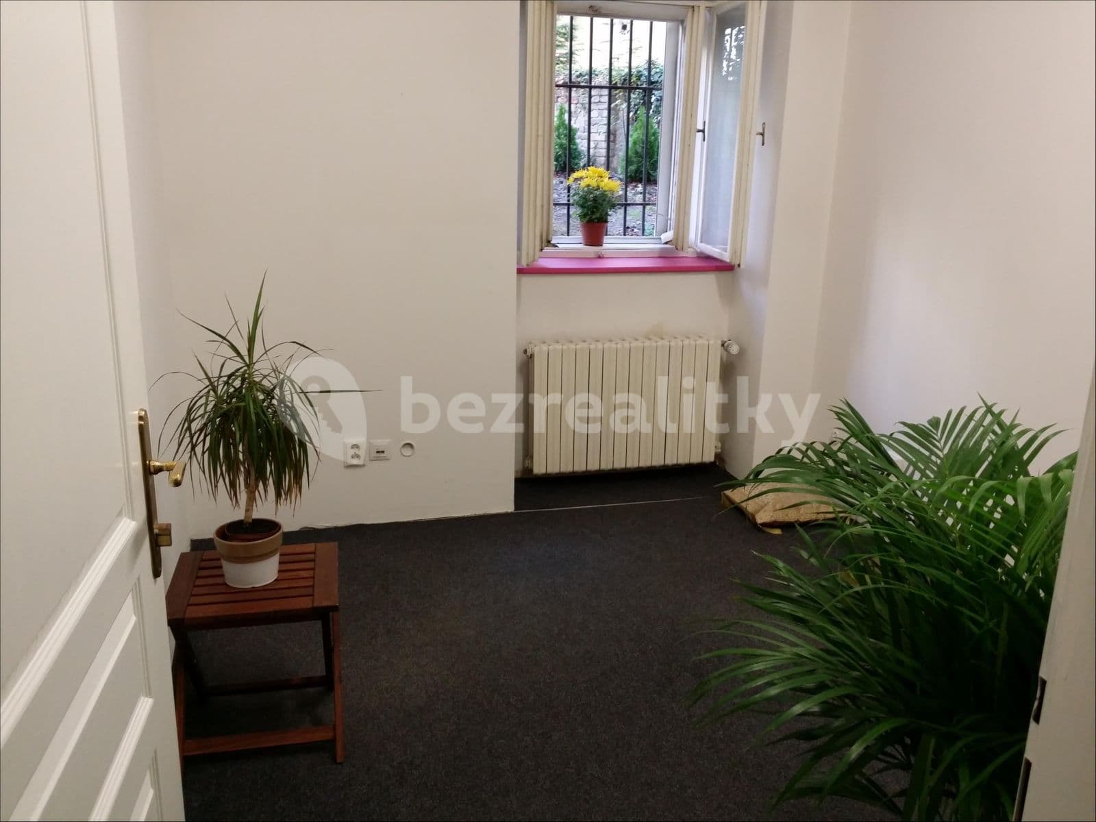 Pronájem nebytového prostoru 180 m², Žitomírská, Praha, Praha Pronájem nebytového prostoru 180 m², Žitomírská, Praha, Praha