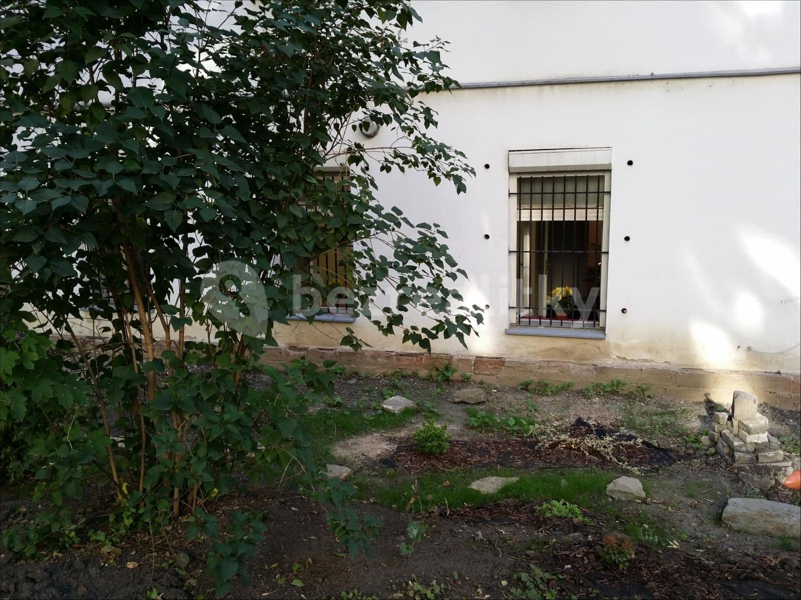 Pronájem nebytového prostoru 180 m², Žitomírská, Praha, Praha Pronájem nebytového prostoru 180 m², Žitomírská, Praha, Praha