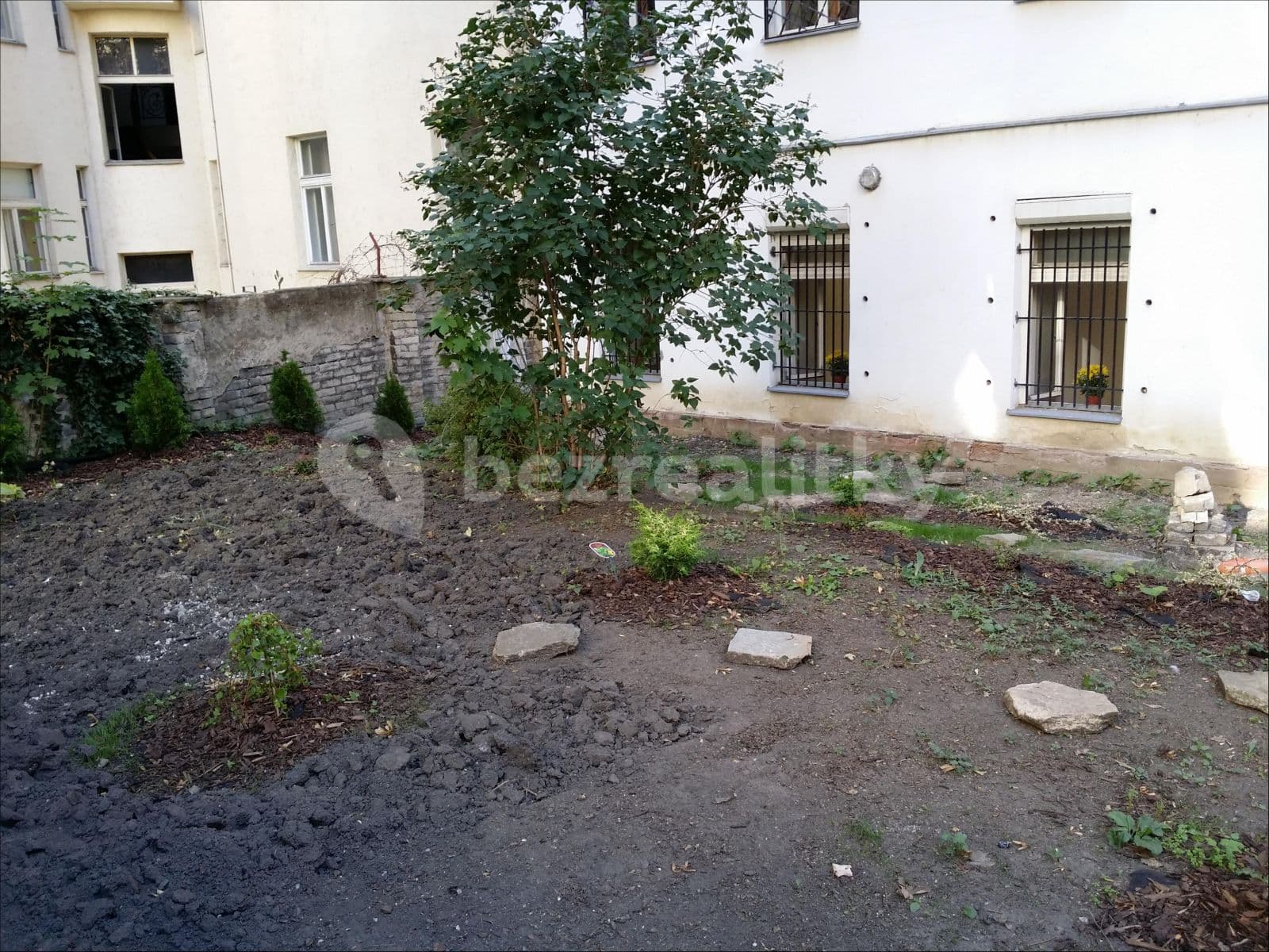 Pronájem nebytového prostoru 180 m², Žitomírská, Praha, Praha Pronájem nebytového prostoru 180 m², Žitomírská, Praha, Praha