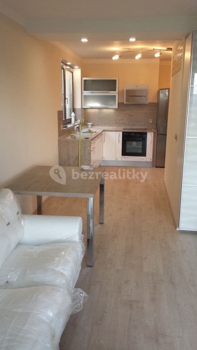 Pronájem bytu 1+kk 45 m², Nad Lískami, Brno, Jihomoravský kraj Pronájem bytu 1+kk 45 m², Nad Lískami, Brno, Jihomoravský kraj