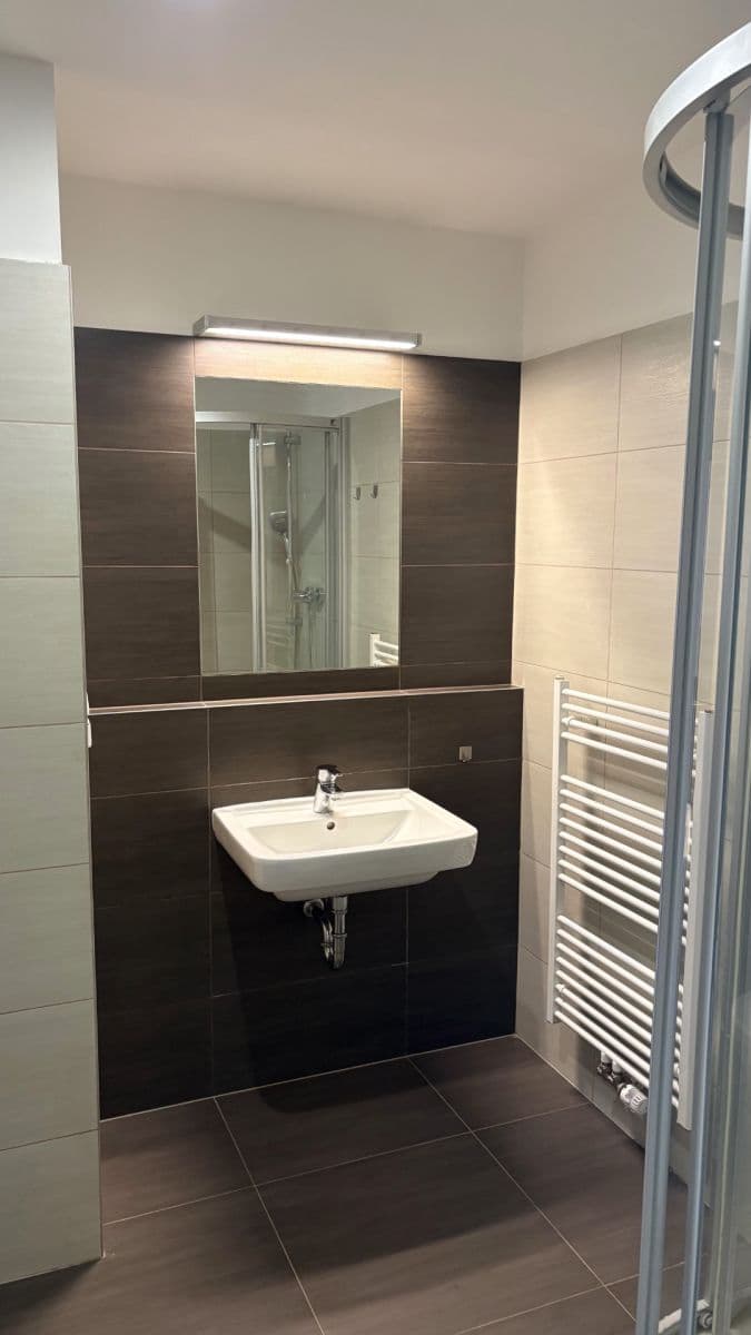 Pronájem bytu 1+kk 37 m², U Leskavy, Brno, Jihomoravský kraj Pronájem bytu 1+kk 37 m², U Leskavy, Brno, Jihomoravský kraj