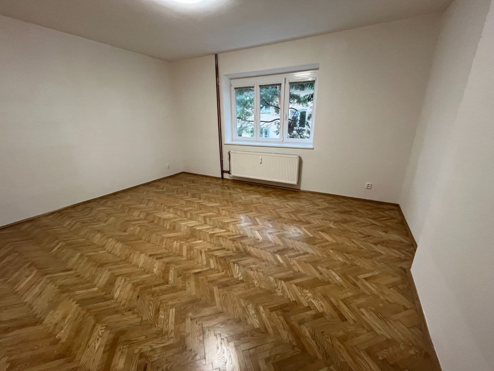 Pronájem bytu 1+1 46 m², Maškova, Brno, Jihomoravský kraj Pronájem bytu 1+1 46 m², Maškova, Brno, Jihomoravský kraj