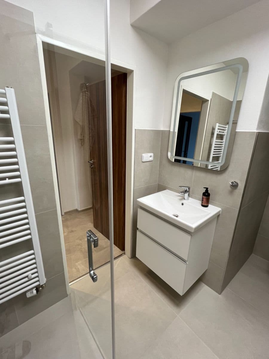 Pronájem bytu 1+1 46 m², Maškova, Brno, Jihomoravský kraj Pronájem bytu 1+1 46 m², Maškova, Brno, Jihomoravský kraj