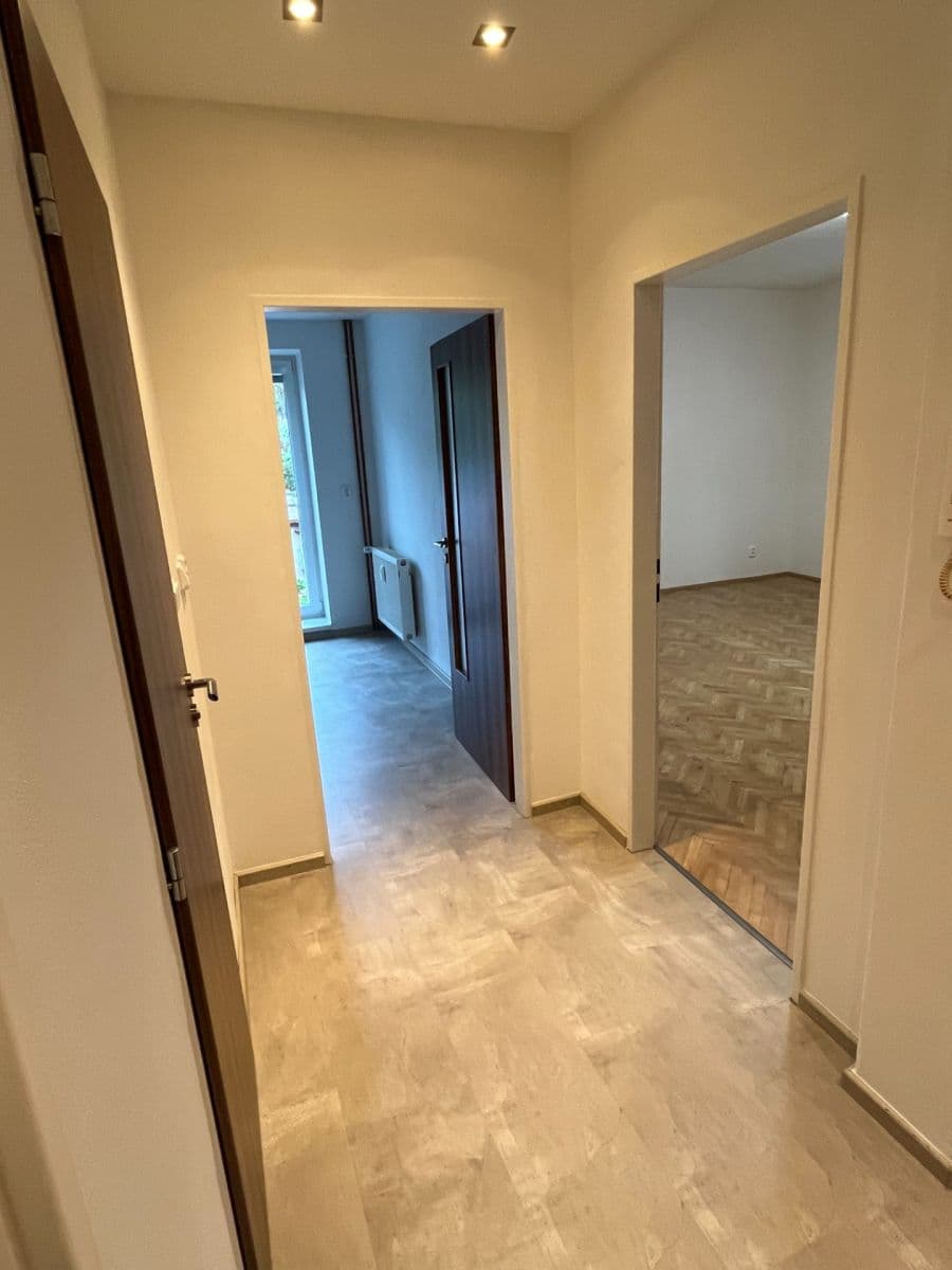 Pronájem bytu 1+1 46 m², Maškova, Brno, Jihomoravský kraj Pronájem bytu 1+1 46 m², Maškova, Brno, Jihomoravský kraj