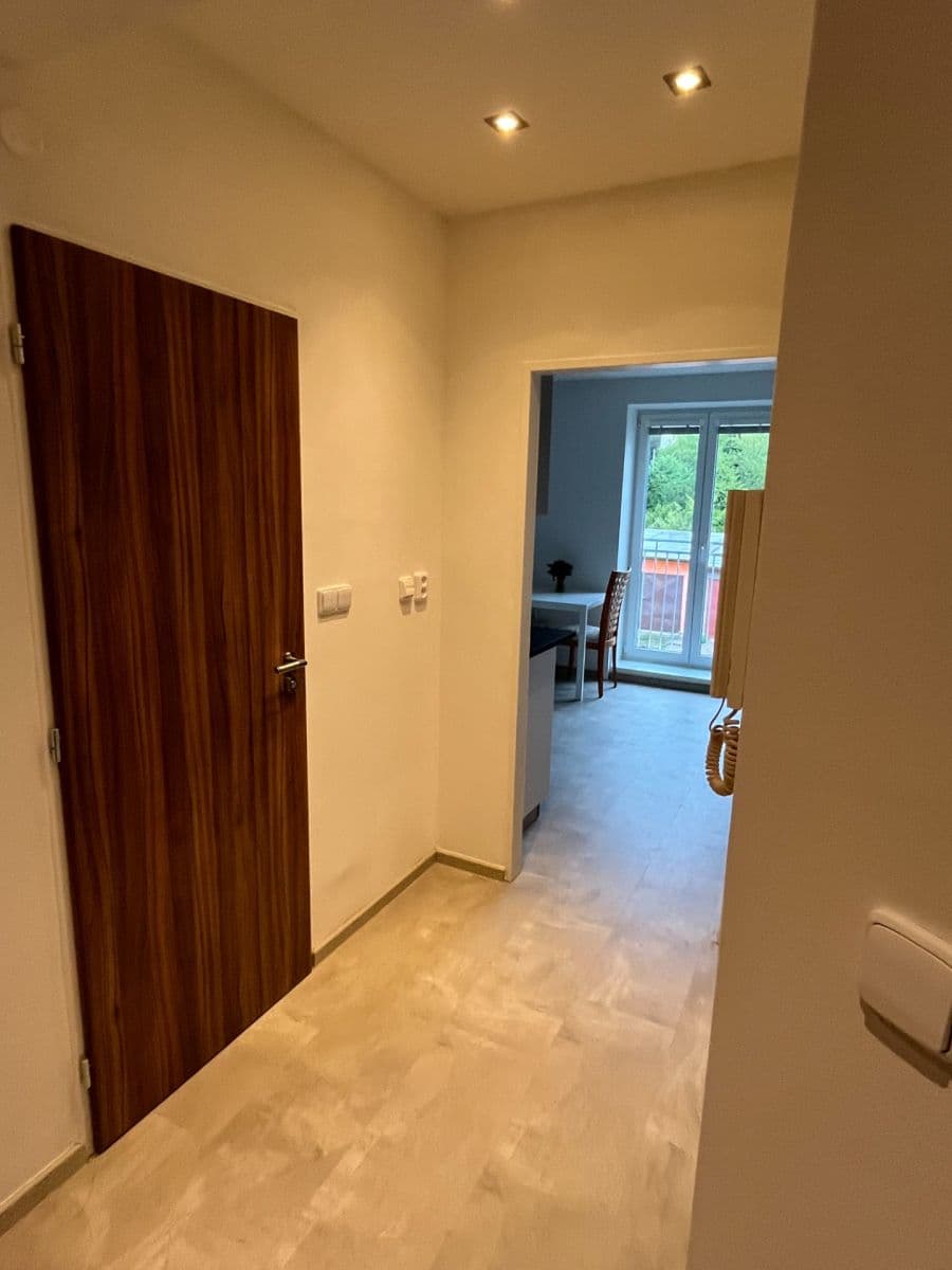 Pronájem bytu 1+1 46 m², Maškova, Brno, Jihomoravský kraj Pronájem bytu 1+1 46 m², Maškova, Brno, Jihomoravský kraj