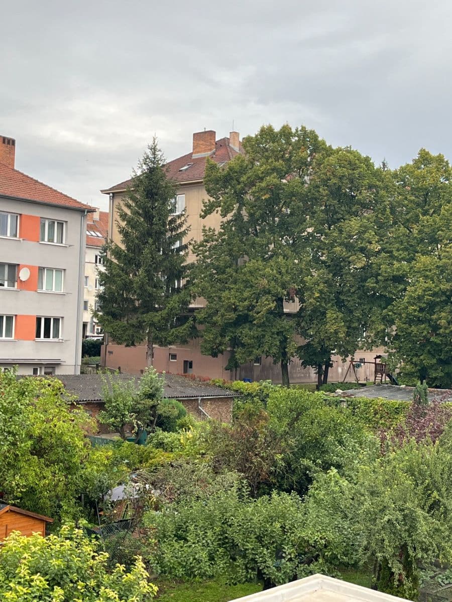 Pronájem bytu 1+1 46 m², Maškova, Brno, Jihomoravský kraj Pronájem bytu 1+1 46 m², Maškova, Brno, Jihomoravský kraj