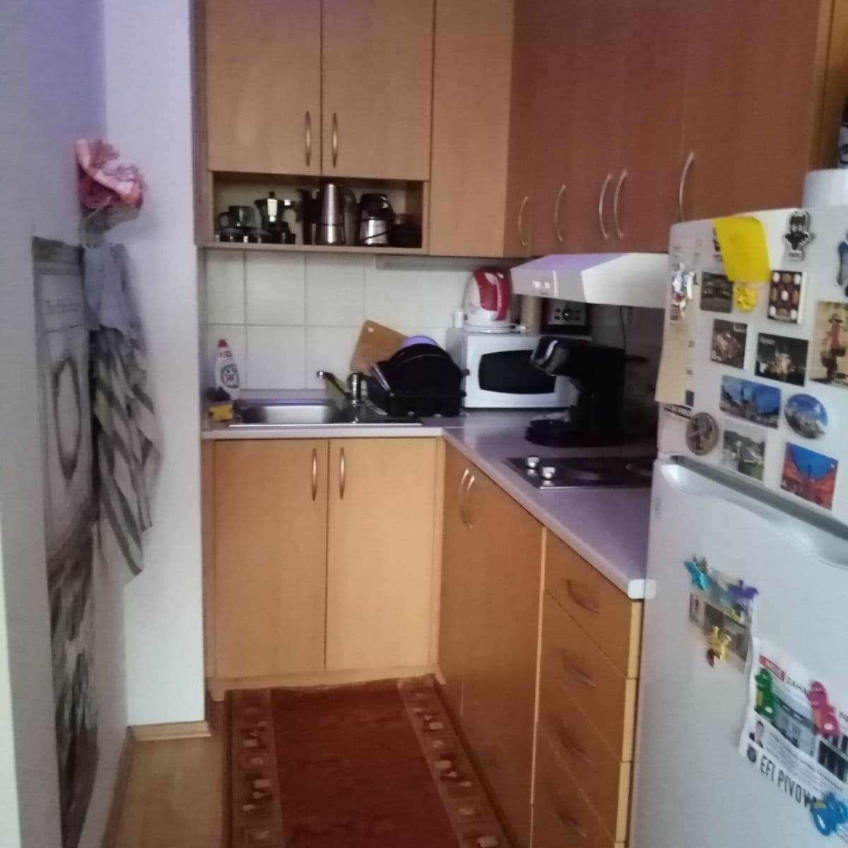 Pronájem bytu 1+kk 31 m², Francouzská, Brno, Jihomoravský kraj Pronájem bytu 1+kk 31 m², Francouzská, Brno, Jihomoravský kraj
