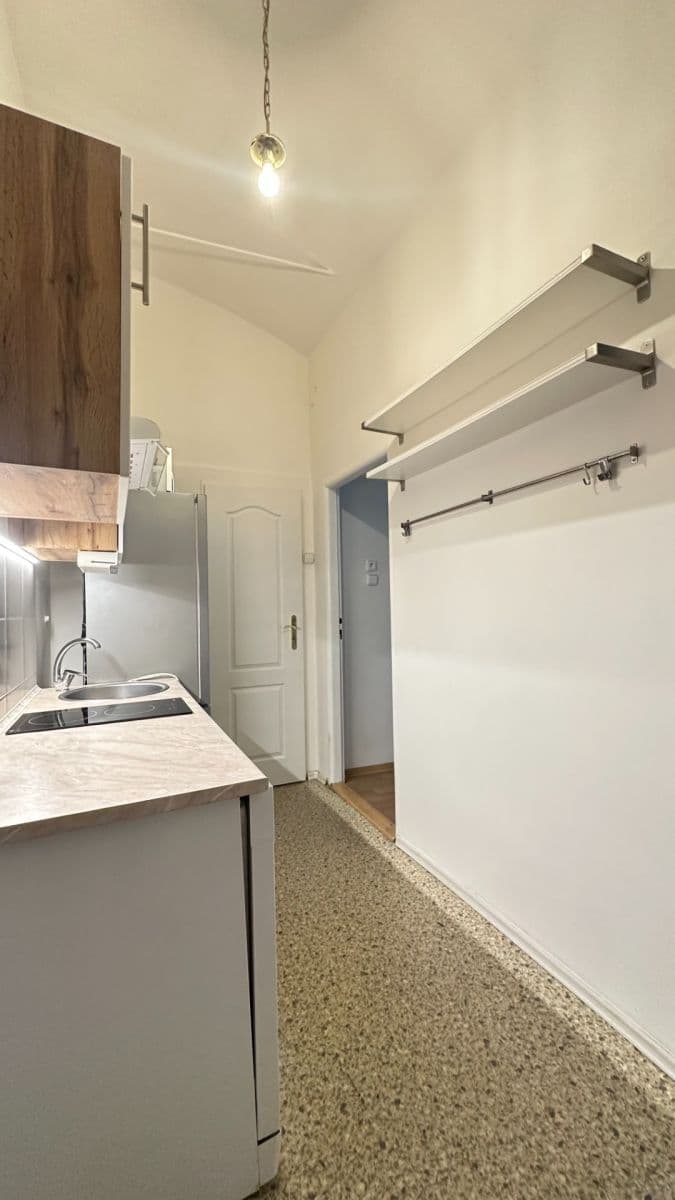 Pronájem bytu 2+kk 55 m², Velehradská, Praha, Praha Pronájem bytu 2+kk 55 m², Velehradská, Praha, Praha