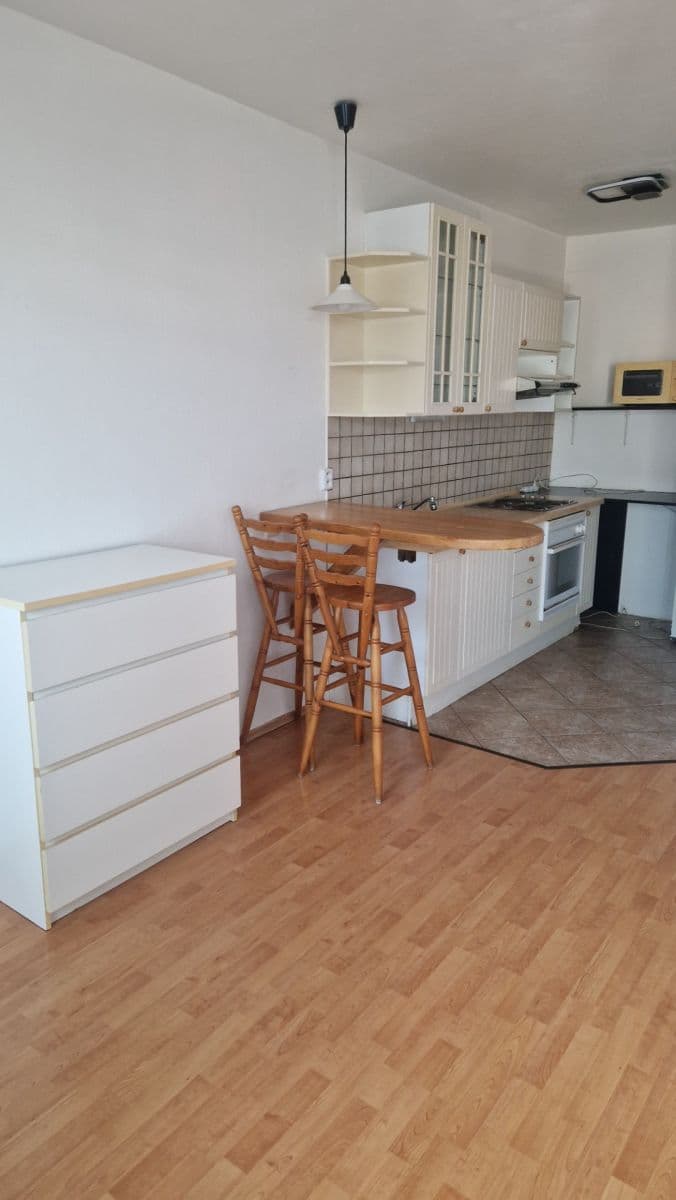 Pronájem bytu 1+kk 32 m², Bednářova, Brno, Jihomoravský kraj Pronájem bytu 1+kk 32 m², Bednářova, Brno, Jihomoravský kraj