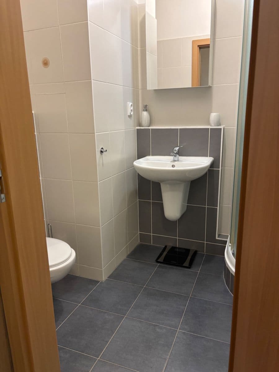 Pronájem bytu 1+kk 32 m², Davidovičova, Praha, Praha Pronájem bytu 1+kk 32 m², Davidovičova, Praha, Praha