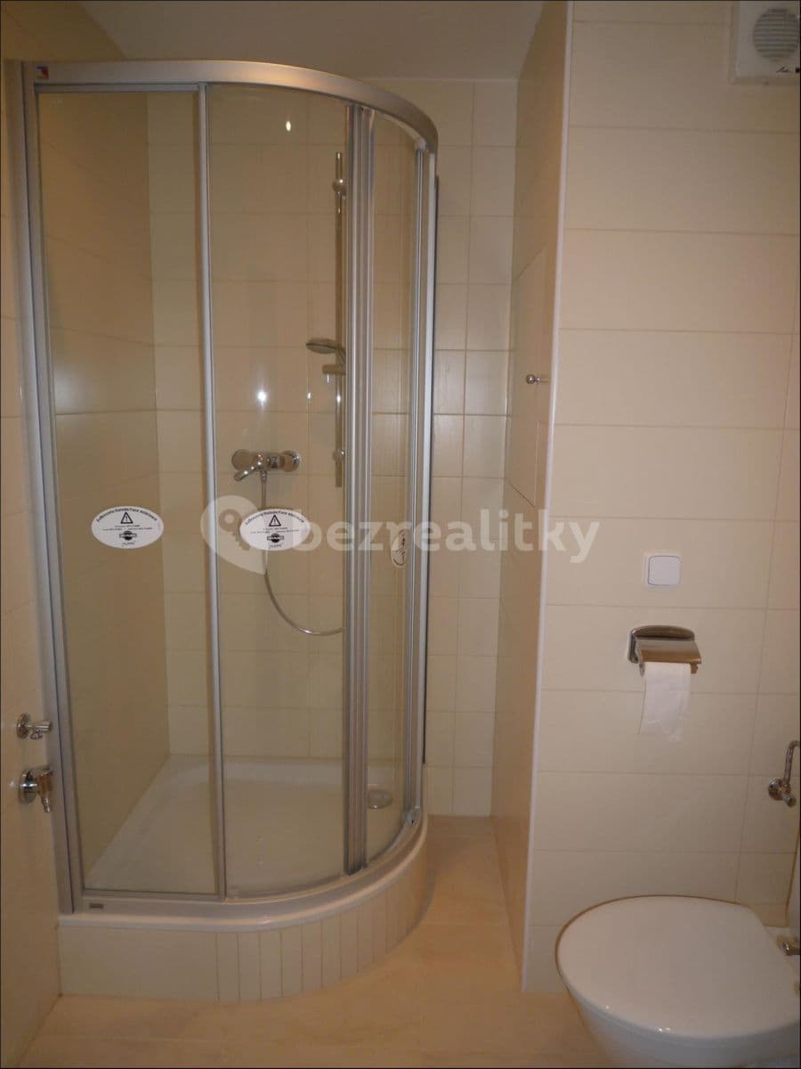 Pronájem bytu 1+kk 30 m², Sevastopolská, Brno, Jihomoravský kraj Pronájem bytu 1+kk 30 m², Sevastopolská, Brno, Jihomoravský kraj