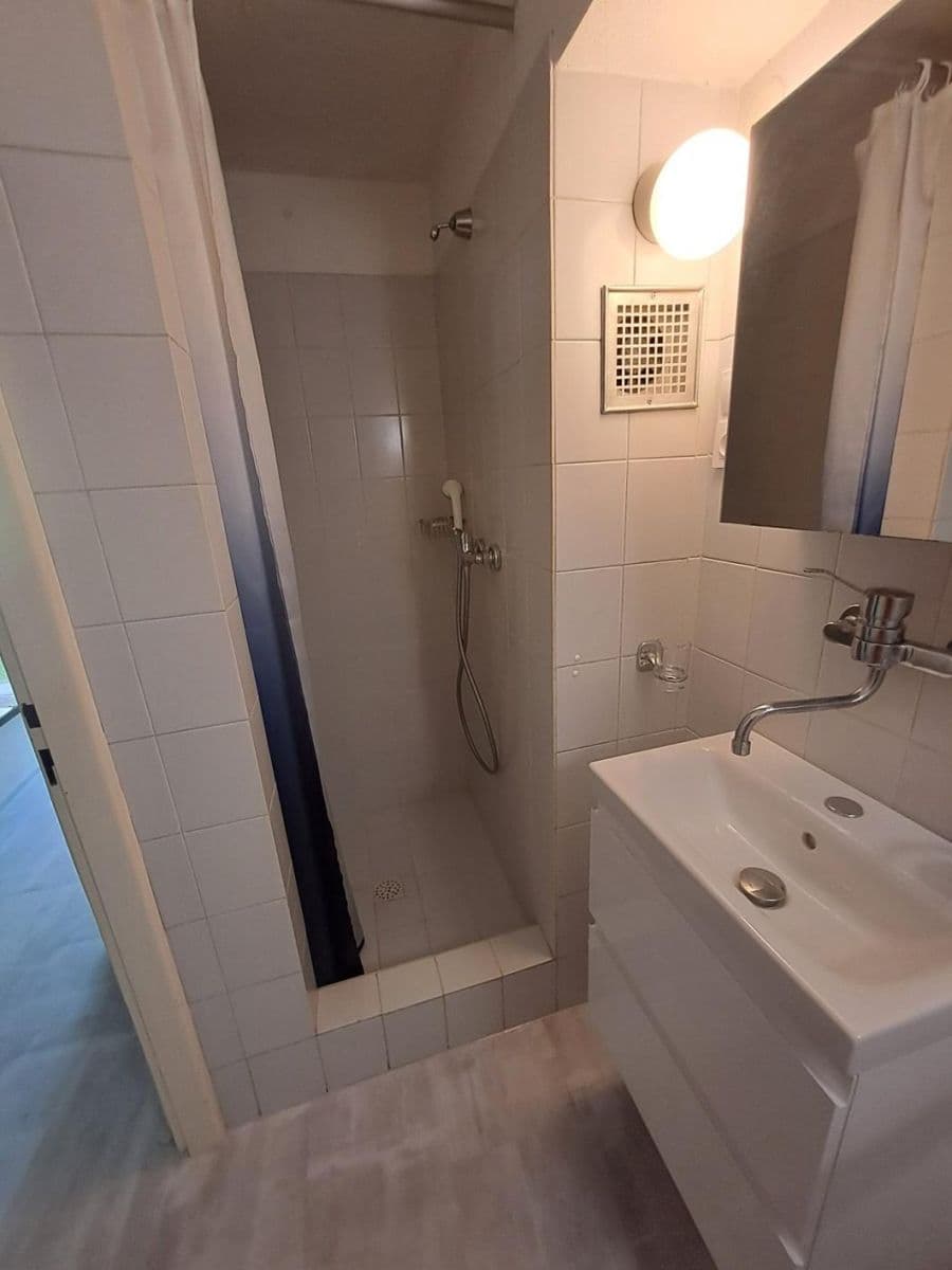 Pronájem bytu 1+1 58 m², K Vodojemu, Praha, Praha Pronájem bytu 1+1 58 m², K Vodojemu, Praha, Praha