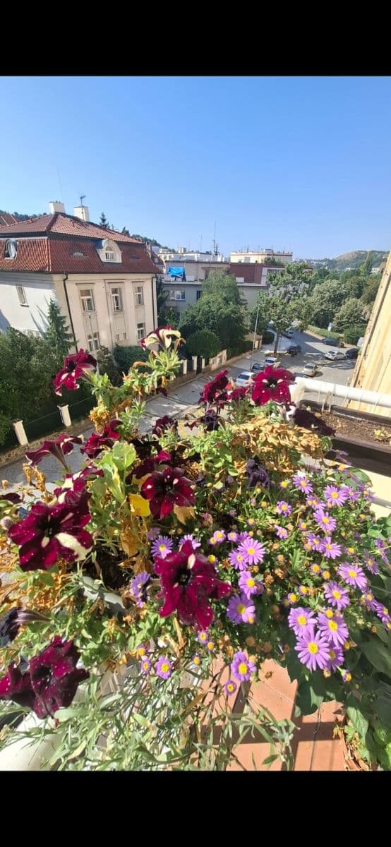Pronájem bytu 2+kk 44 m², Levá, Praha, Praha Pronájem bytu 2+kk 44 m², Levá, Praha, Praha