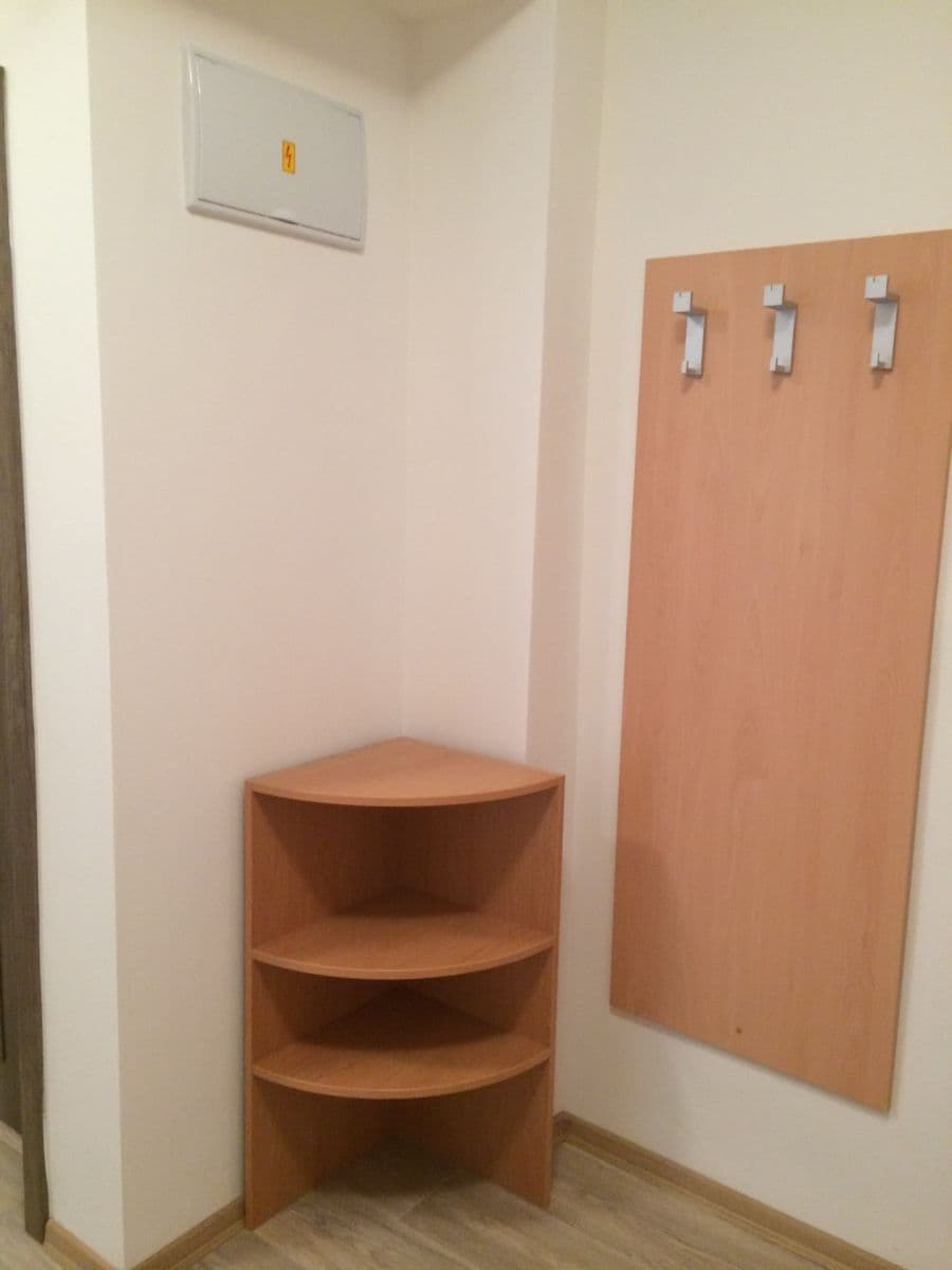 Pronájem bytu 1+1 41 m², Podlesí, Brno, Jihomoravský kraj Pronájem bytu 1+1 41 m², Podlesí, Brno, Jihomoravský kraj