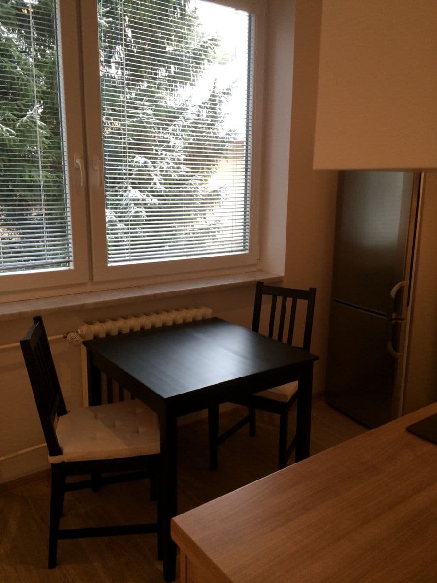 Pronájem bytu 1+1 41 m², Podlesí, Brno, Jihomoravský kraj Pronájem bytu 1+1 41 m², Podlesí, Brno, Jihomoravský kraj