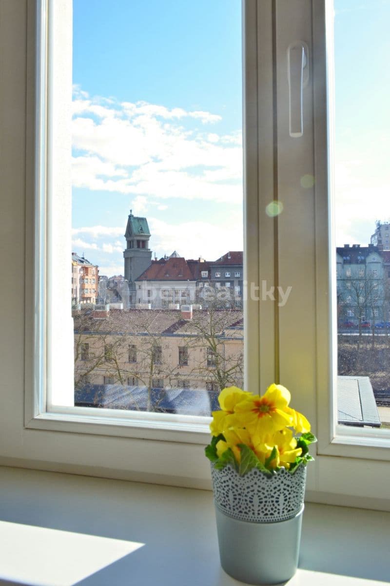 Pronájem bytu 2+kk 60 m², Plzeň, Plzeňský kraj Pronájem bytu 2+kk 60 m², Plzeň, Plzeňský kraj