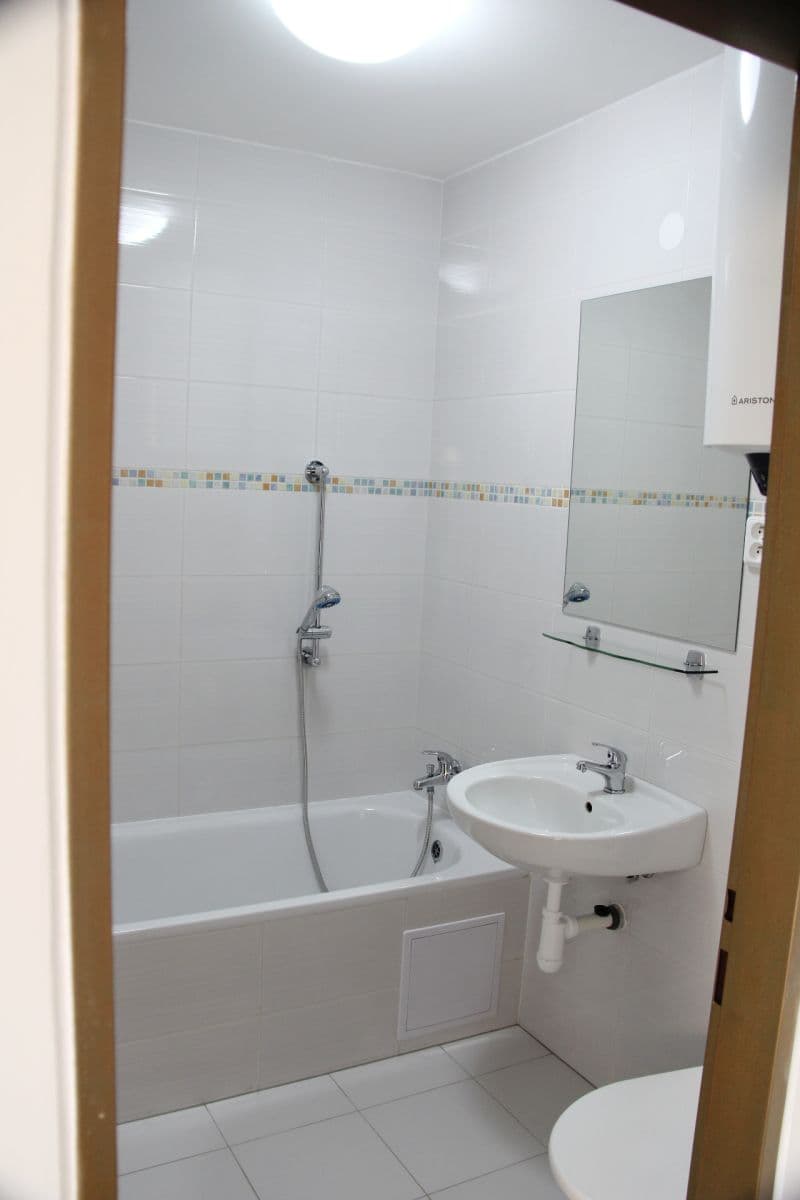 Pronájem bytu 1+kk 46 m², Zdařilá, Praha, Praha Pronájem bytu 1+kk 46 m², Zdařilá, Praha, Praha