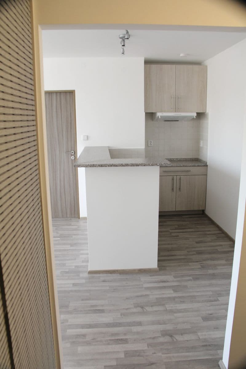 Pronájem bytu 1+kk 46 m², Zdařilá, Praha, Praha Pronájem bytu 1+kk 46 m², Zdařilá, Praha, Praha