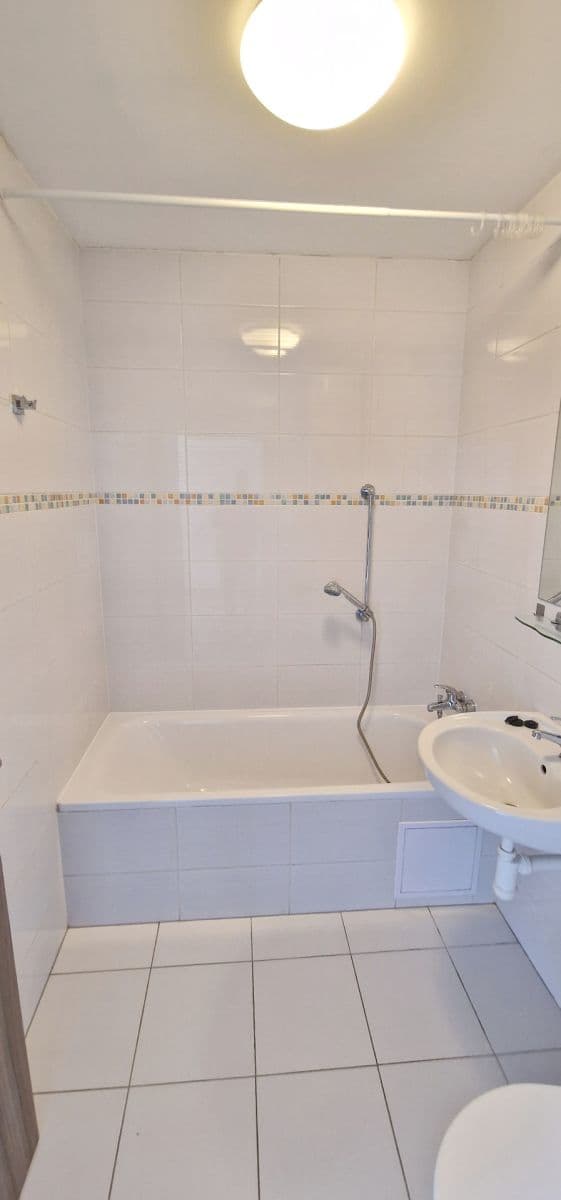 Pronájem bytu 1+kk 46 m², Zdařilá, Praha, Praha Pronájem bytu 1+kk 46 m², Zdařilá, Praha, Praha