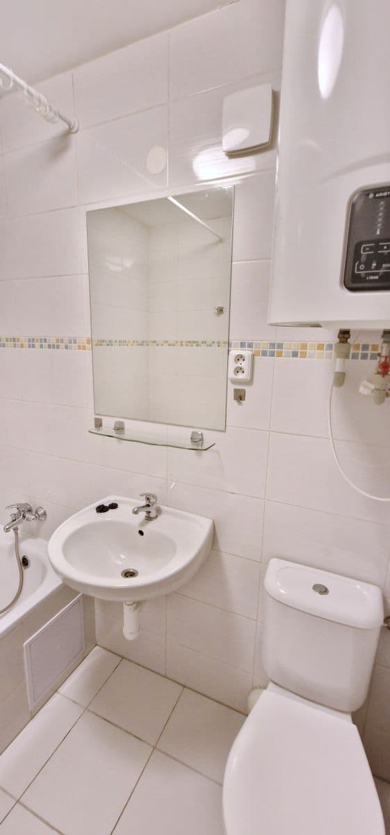 Pronájem bytu 1+kk 46 m², Zdařilá, Praha, Praha Pronájem bytu 1+kk 46 m², Zdařilá, Praha, Praha