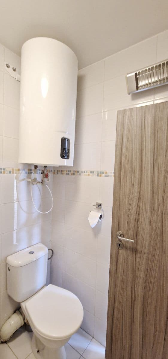 Pronájem bytu 1+kk 46 m², Zdařilá, Praha, Praha Pronájem bytu 1+kk 46 m², Zdařilá, Praha, Praha
