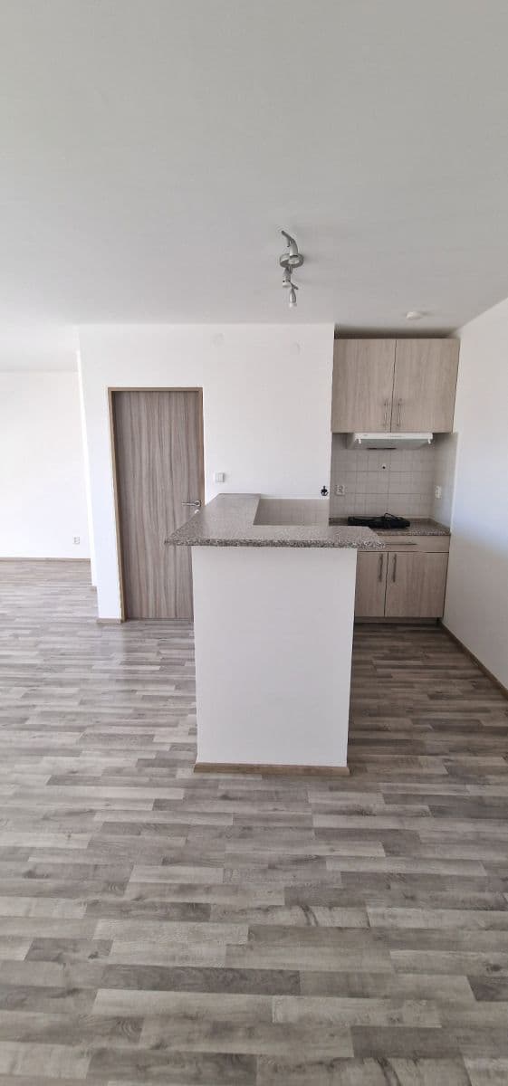 Pronájem bytu 1+kk 46 m², Zdařilá, Praha, Praha Pronájem bytu 1+kk 46 m², Zdařilá, Praha, Praha