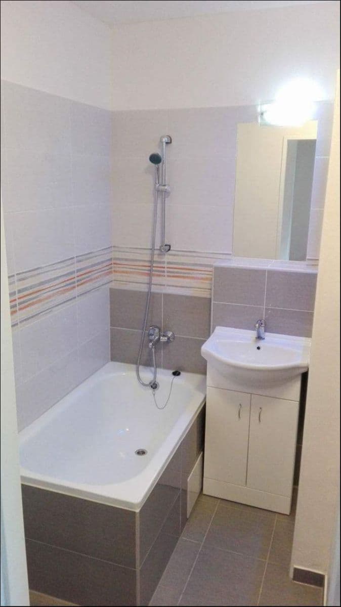 Pronájem bytu 1+1 46 m², Slavíkova, Ostrava, Moravskoslezský kraj Pronájem bytu 1+1 46 m², Slavíkova, Ostrava, Moravskoslezský kraj