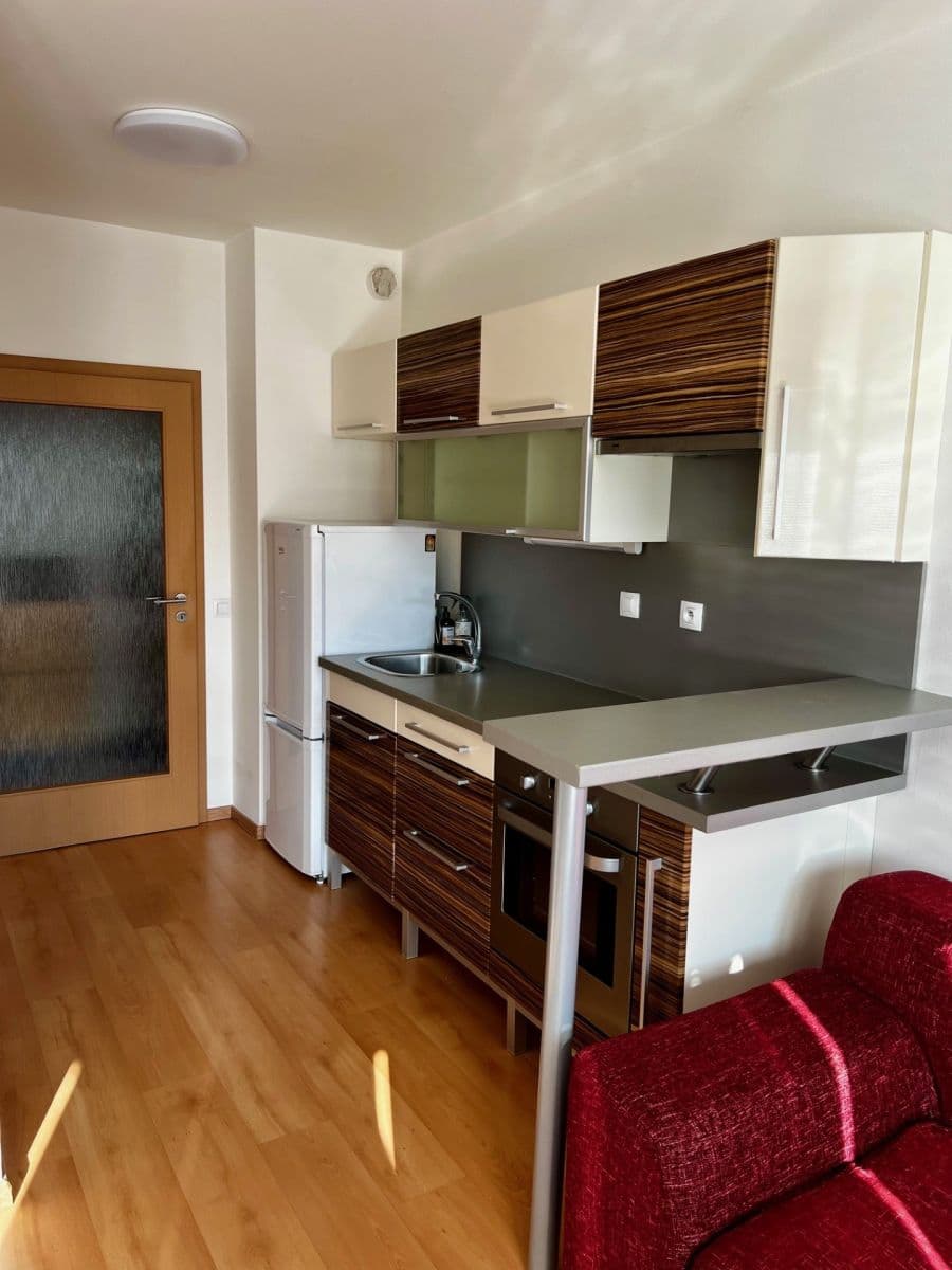 Pronájem bytu 1+kk 38 m², Plzeňská, Praha, Praha Pronájem bytu 1+kk 38 m², Plzeňská, Praha, Praha