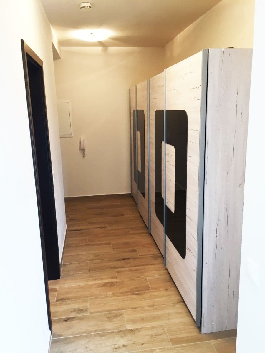 Pronájem bytu 2+kk 57 m², U Velkého rybníka, Plzeň, Plzeňský kraj Pronájem bytu 2+kk 57 m², U Velkého rybníka, Plzeň, Plzeňský kraj