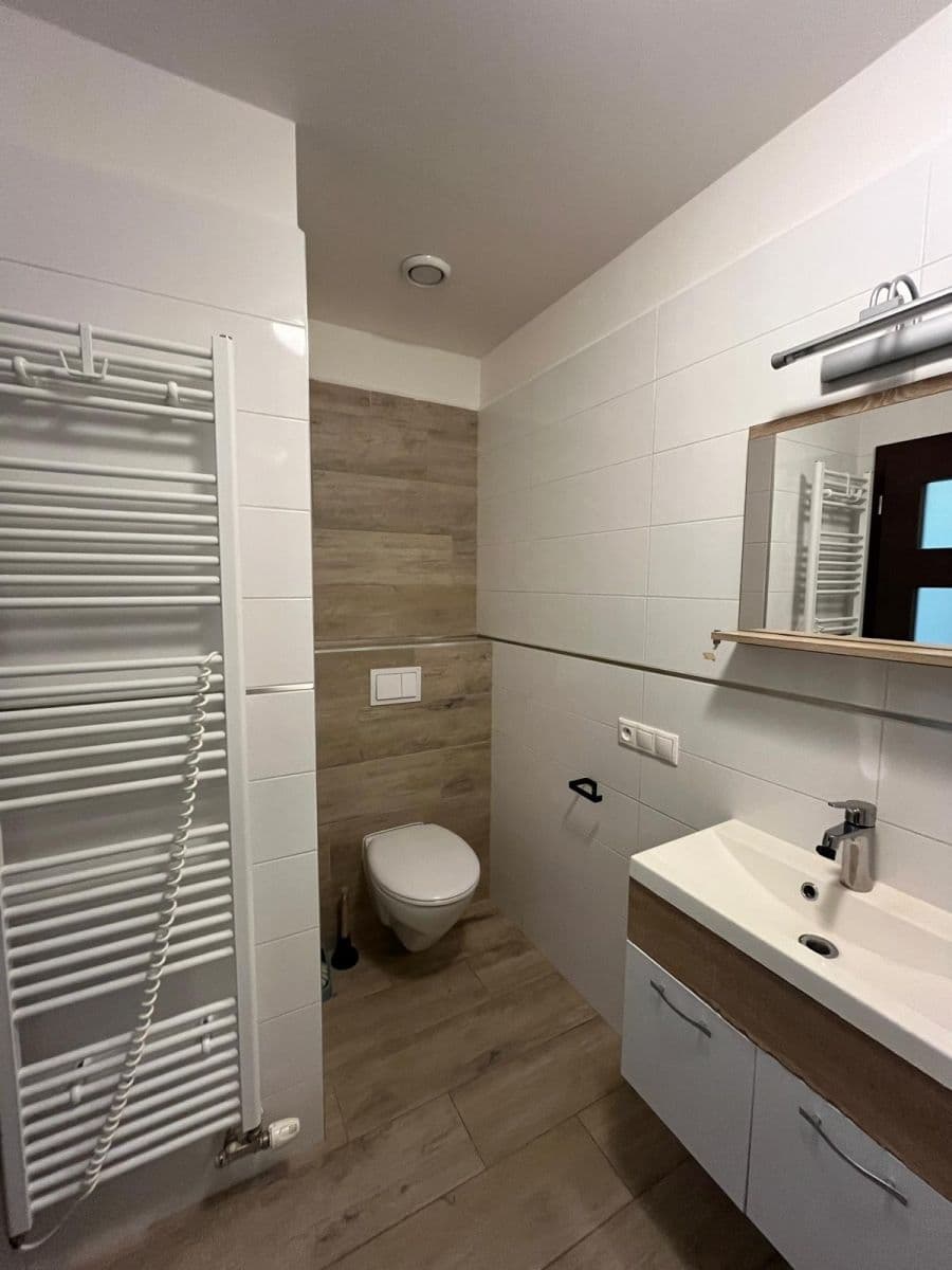 Pronájem bytu 2+kk 57 m², U Velkého rybníka, Plzeň, Plzeňský kraj Pronájem bytu 2+kk 57 m², U Velkého rybníka, Plzeň, Plzeňský kraj