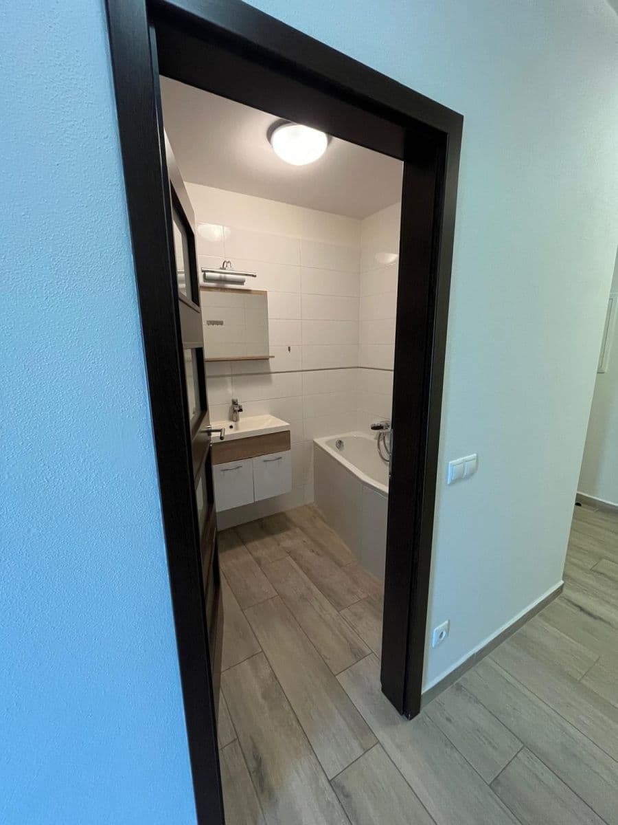 Pronájem bytu 2+kk 57 m², U Velkého rybníka, Plzeň, Plzeňský kraj Pronájem bytu 2+kk 57 m², U Velkého rybníka, Plzeň, Plzeňský kraj