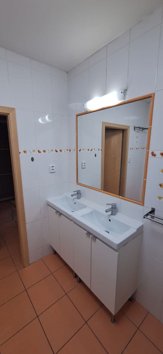 Pronájem bytu 2+kk 65 m², Brno, Jihomoravský kraj Pronájem bytu 2+kk 65 m², Brno, Jihomoravský kraj