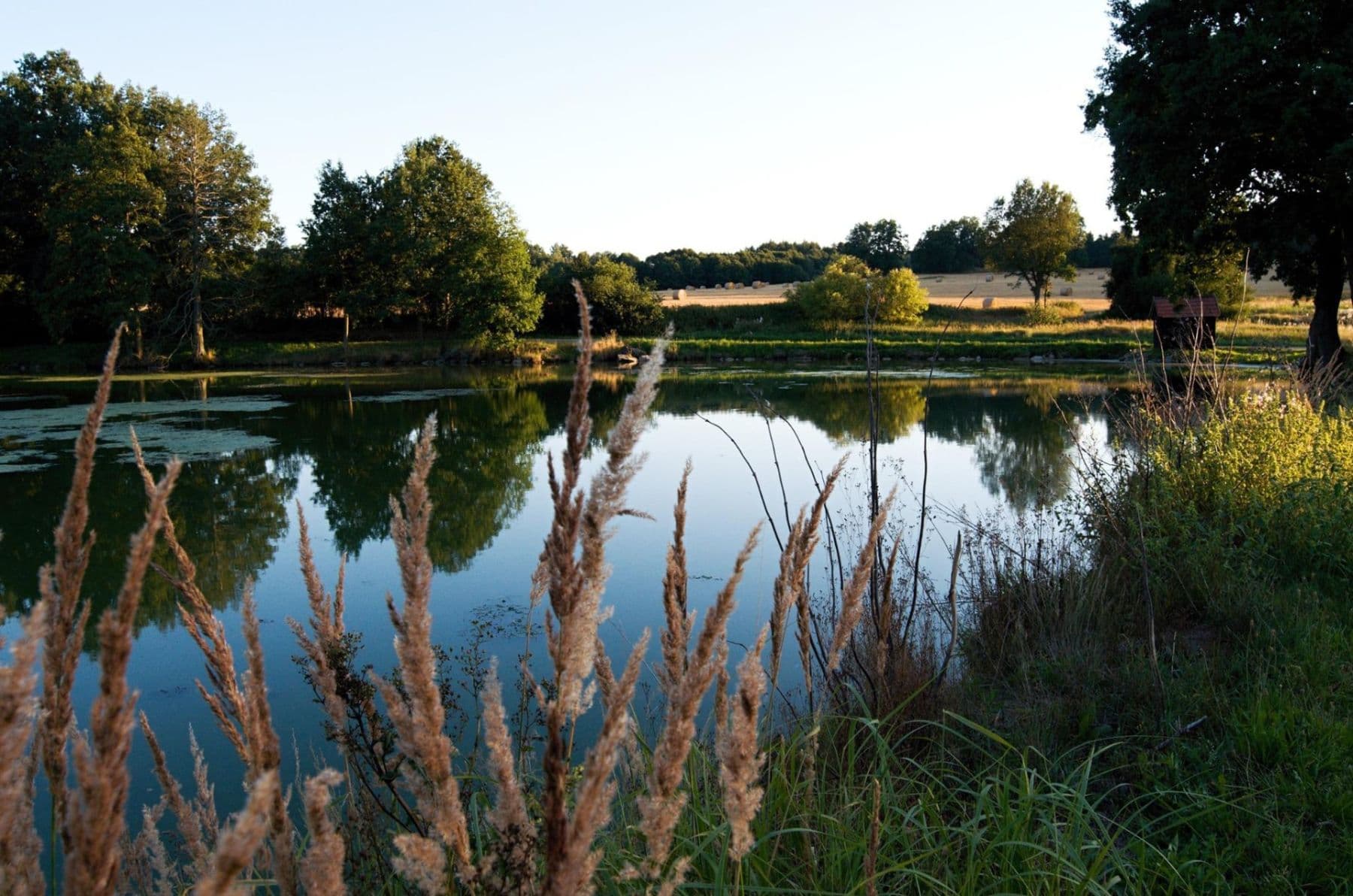 Pronájem bytu 4+1 200 m², Záboří, Jihočeský kraj Pronájem bytu 4+1 200 m², Záboří, Jihočeský kraj