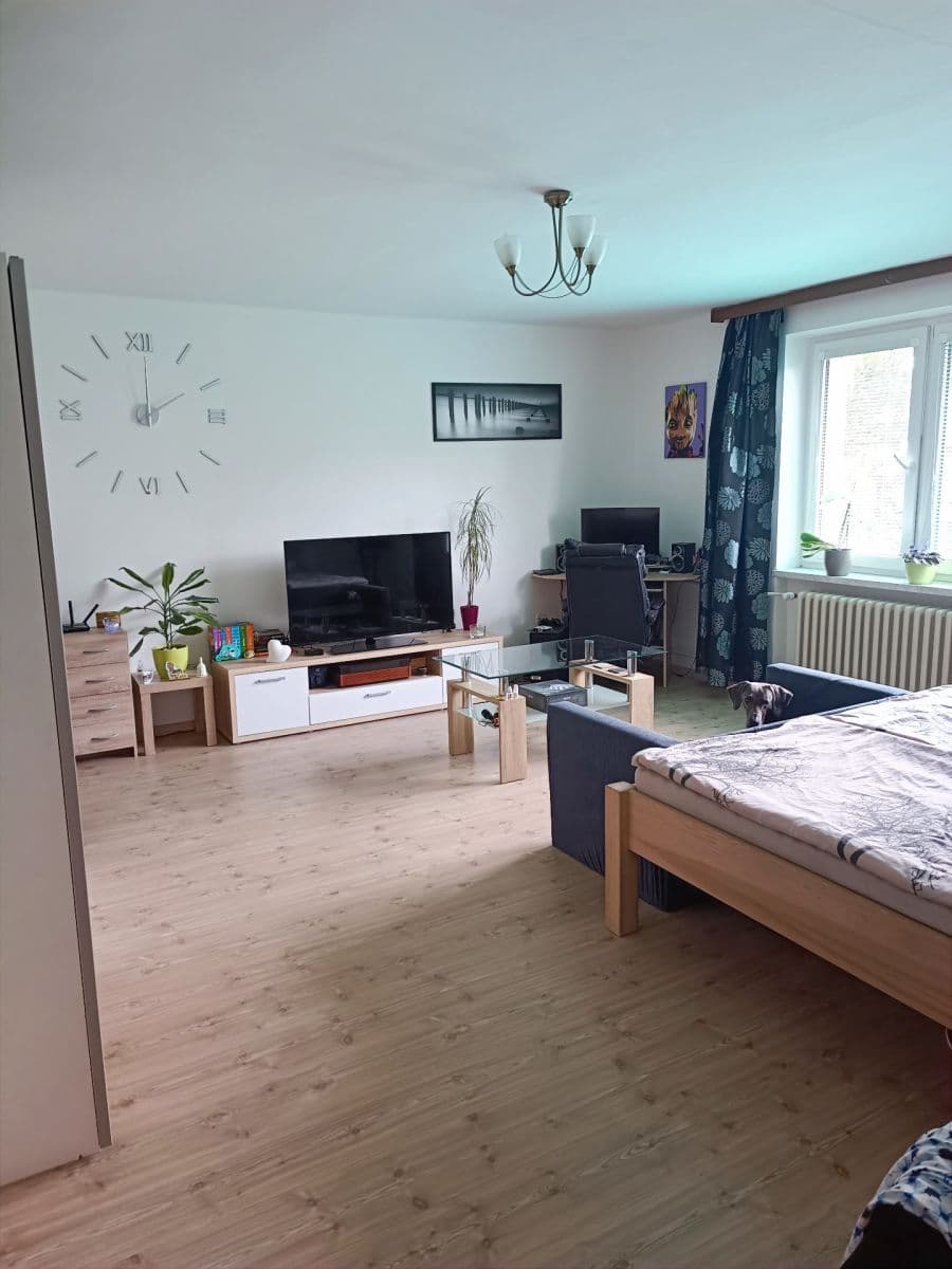 Pronájem bytu 1+1 45 m², Barákova, Plzeň, Plzeňský kraj Pronájem bytu 1+1 45 m², Barákova, Plzeň, Plzeňský kraj