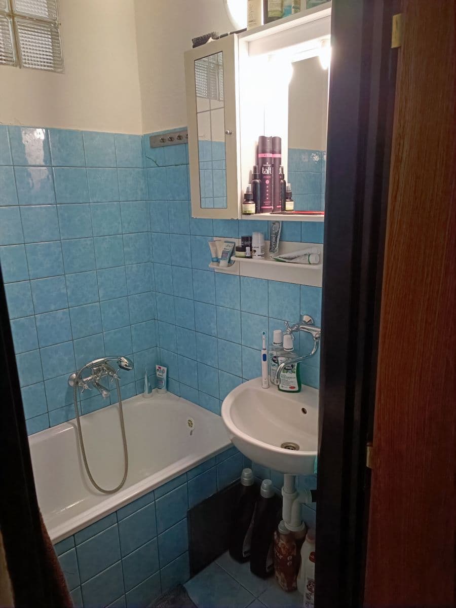 Pronájem bytu 1+1 45 m², Barákova, Plzeň, Plzeňský kraj Pronájem bytu 1+1 45 m², Barákova, Plzeň, Plzeňský kraj