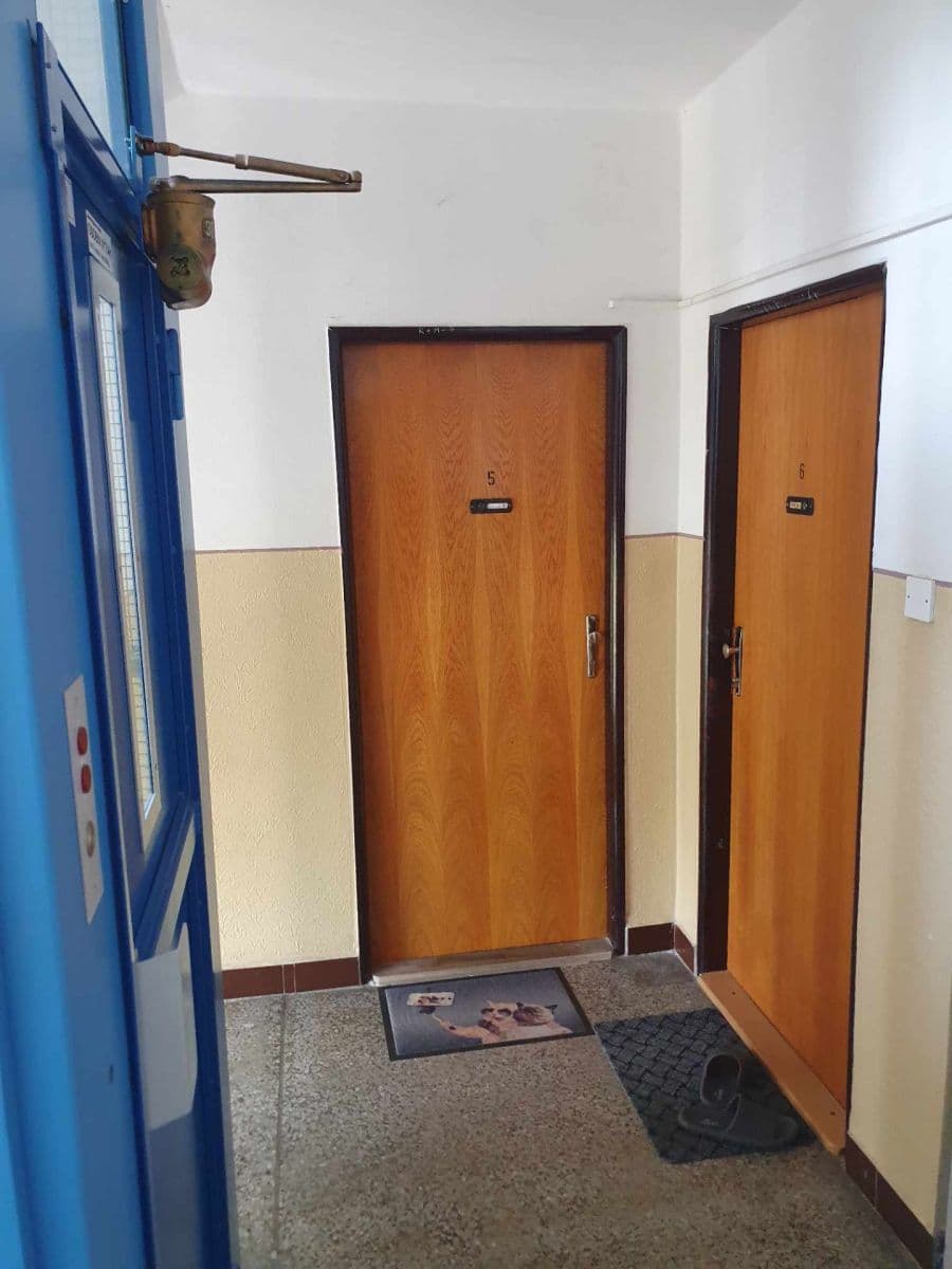 Pronájem bytu 1+1 45 m², Barákova, Plzeň, Plzeňský kraj Pronájem bytu 1+1 45 m², Barákova, Plzeň, Plzeňský kraj