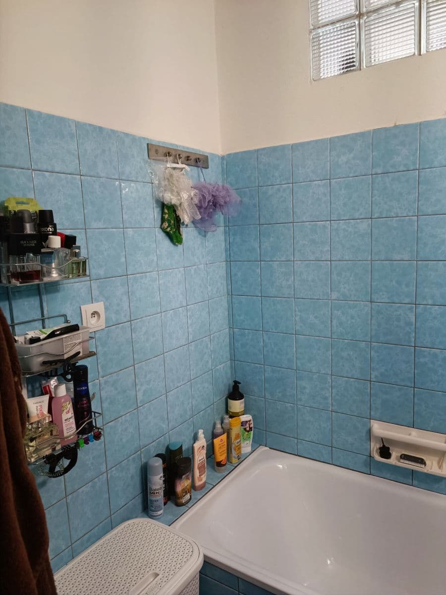 Pronájem bytu 1+1 45 m², Barákova, Plzeň, Plzeňský kraj Pronájem bytu 1+1 45 m², Barákova, Plzeň, Plzeňský kraj