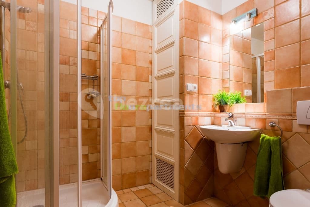 Pronájem bytu 5+kk 240 m², Přemyslovská, Praha, Praha Pronájem bytu 5+kk 240 m², Přemyslovská, Praha, Praha